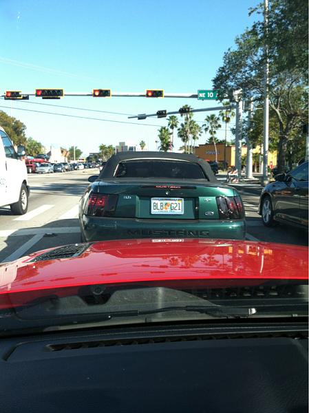 New dub emblem-image-1905522423.jpg