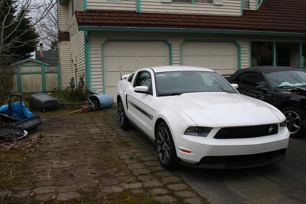 Stripe questions-side.jpg