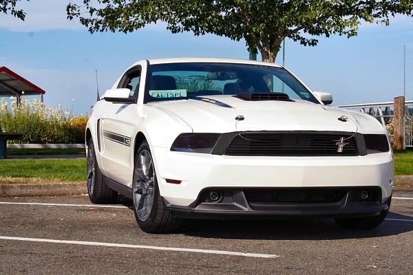 Stripe questions-kitsap.jpg