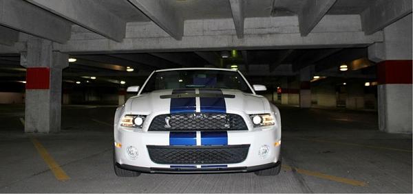 Post your Mustang StripeS , pictures &amp; discussion in here-image-3637197105.jpg
