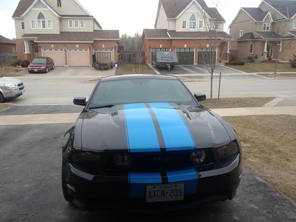 Post your Mustang StripeS , pictures &amp; discussion in here-image-4226979300.jpg