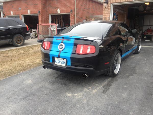 Post your Mustang StripeS , pictures &amp; discussion in here-image-2651264361.jpg