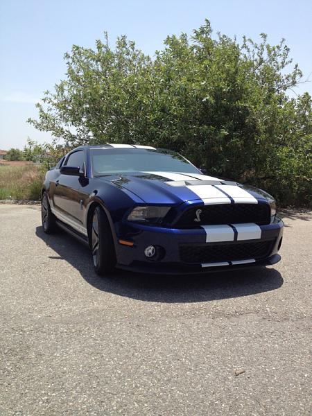 Post your Mustang StripeS , pictures &amp; discussion in here-image-3719318213.jpg