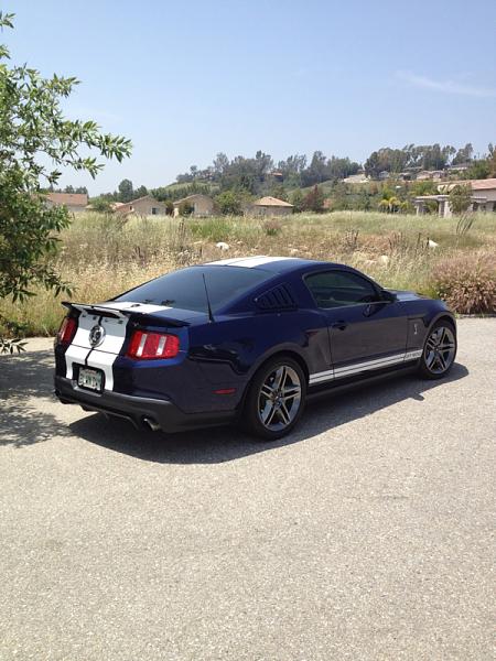 Window Tinting-image-2086704688.jpg