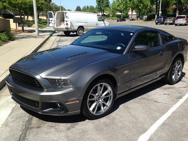 Grilles for 2013's?-mustang.jpg