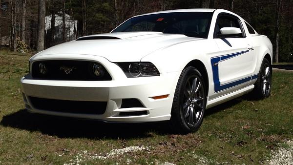 Post your Mustang StripeS , pictures &amp; discussion in here-image.jpg
