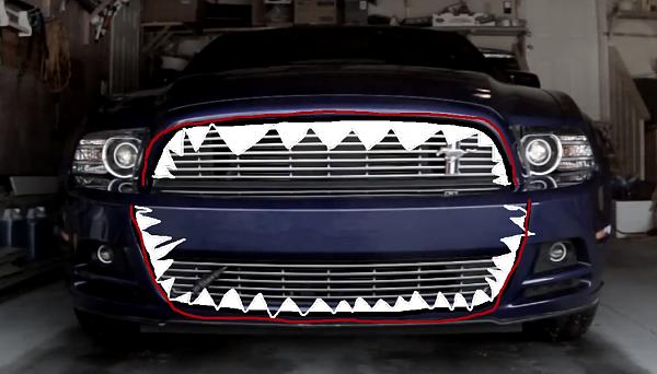 Post your Mustang StripeS , pictures &amp; discussion in here-shark-nose.jpg