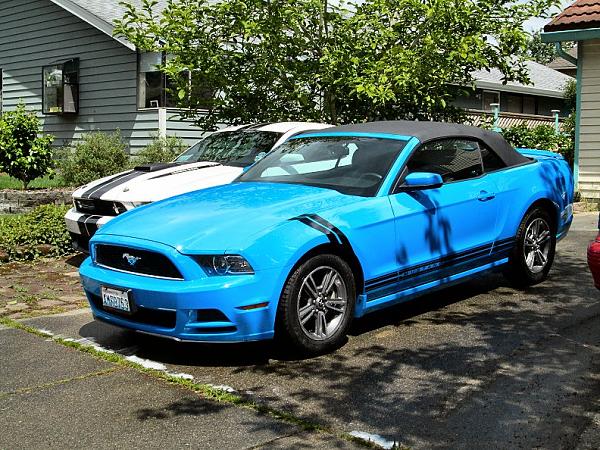 Post your Mustang StripeS , pictures &amp; discussion in here-rehashmarks.jpg