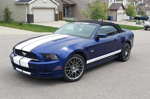 Baby got her stripes...-e95a2b95-4701-42ad-8584-ab16ccd4fc56_zps0ccf9777.jpg