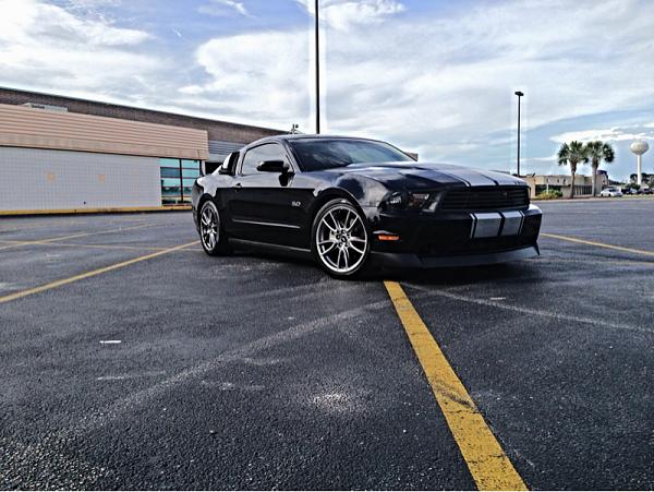 My new Saleen Grille!!!-image-2417286026.jpg