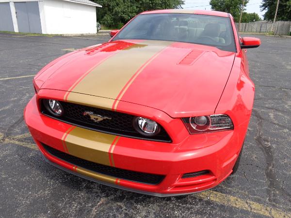 Gt500 style stripes or spoiler?-dsc00047.jpg