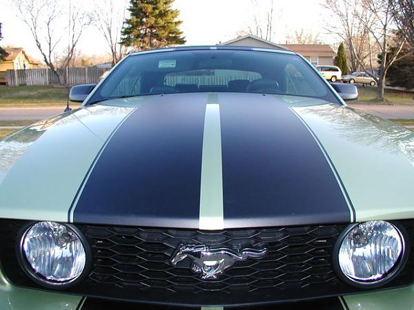 Not happy with my stripes-image-4092938719.jpg