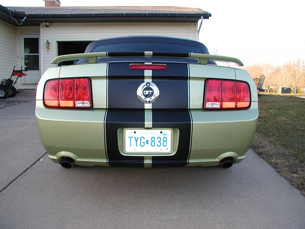 Not happy with my stripes-image-3619945769.jpg