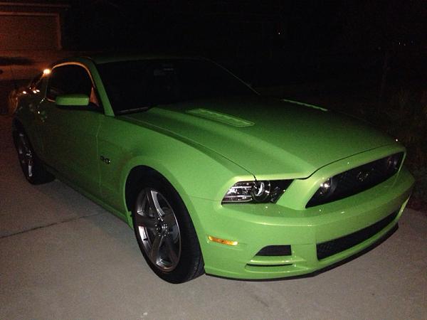 3D carbon rear spoiler &amp; Roush front splitter-image-428858018.jpg