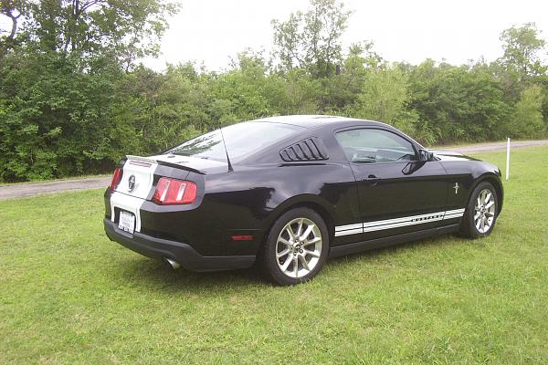 Post your Mustang StripeS , pictures &amp; discussion in here-dcp_0441.jpg