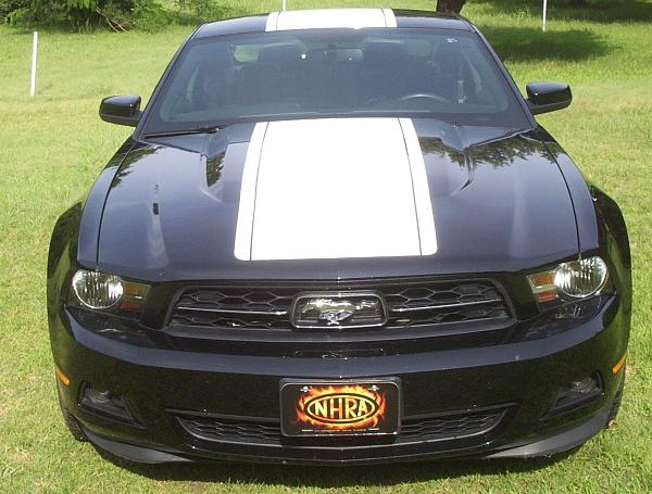 Post your Mustang StripeS , pictures &amp; discussion in here-dcp_0445-copy.jpg