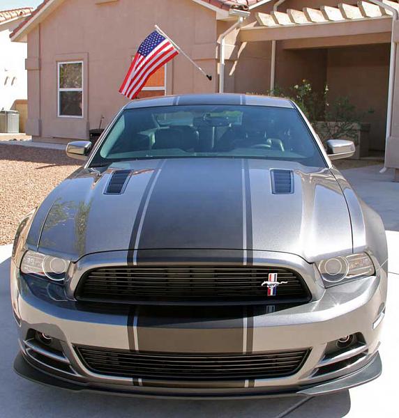 Post your Mustang StripeS , pictures &amp; discussion in here-image-1174132859.jpg