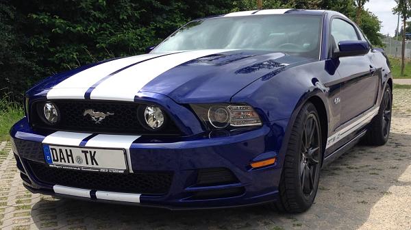 Post your Mustang StripeS , pictures &amp; discussion in here-meiner_01.jpg