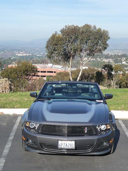 V6 Grilles-p1120261.jpg