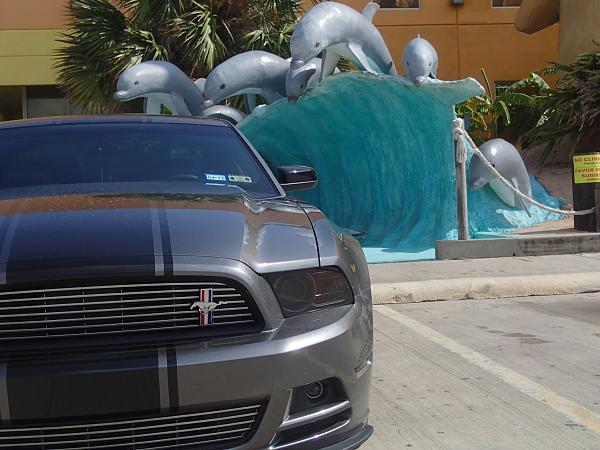 V6 Grilles-image.jpg