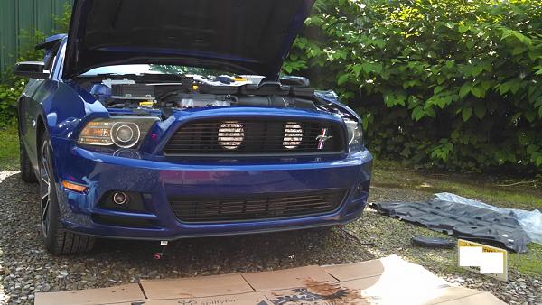 V6 Grilles-img_20140613_110732_459.jpg