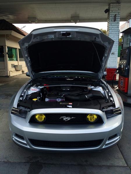 Anyone have yellow fog lights?-image-513374621.jpg