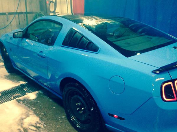 GT500 spoiler paint-image-3313912499.jpg