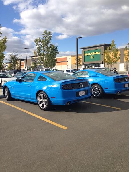 GT500 spoiler paint-image-3320005653.jpg