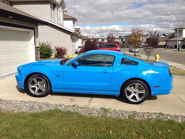 GT500 spoiler paint-image-1530411595.jpg