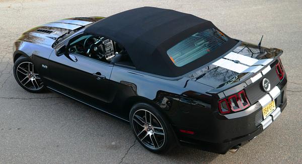 Post your Mustang StripeS , pictures &amp; discussion in here-c024.jpg
