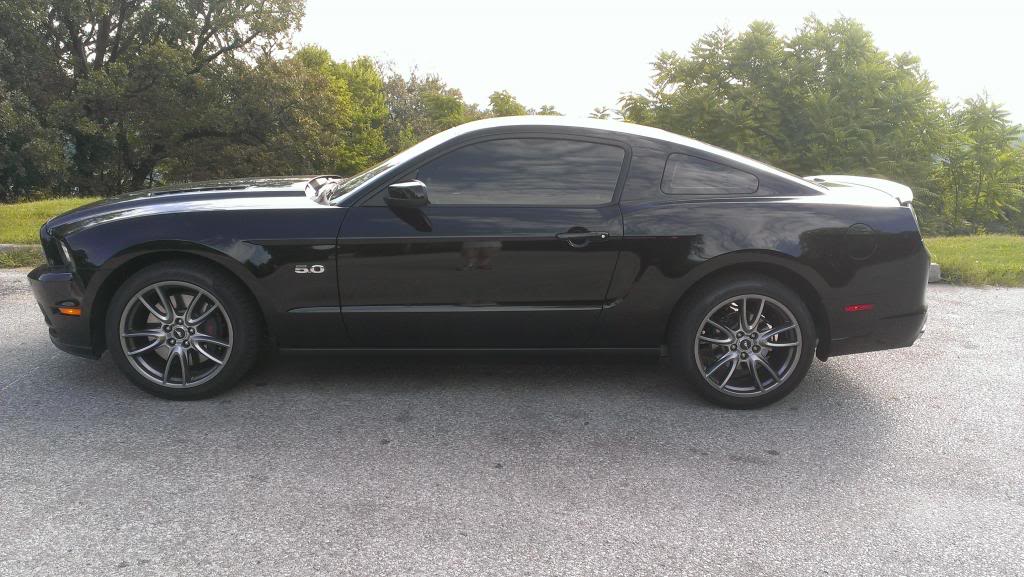 Name:  mystang1.jpg
Views: 923
Size:  110.4 KB