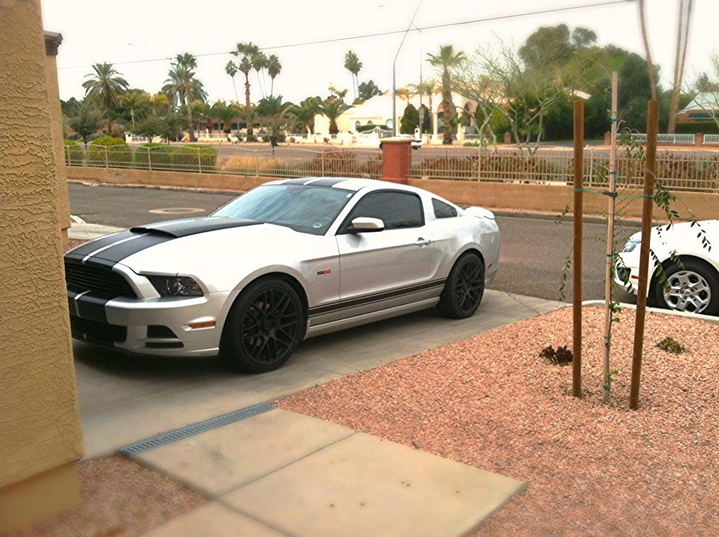 Name:  IMG_0248_zpse1193946.jpg
Views: 77
Size:  137.0 KB