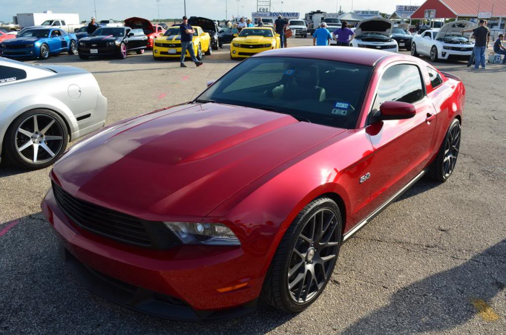 Name:  Mustang_Ennis.jpg
Views: 247
Size:  116.5 KB