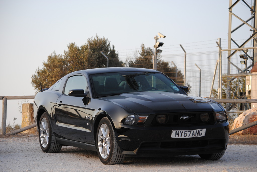 Name:  DSC_0898-5.jpg
Views: 39
Size:  181.8 KB