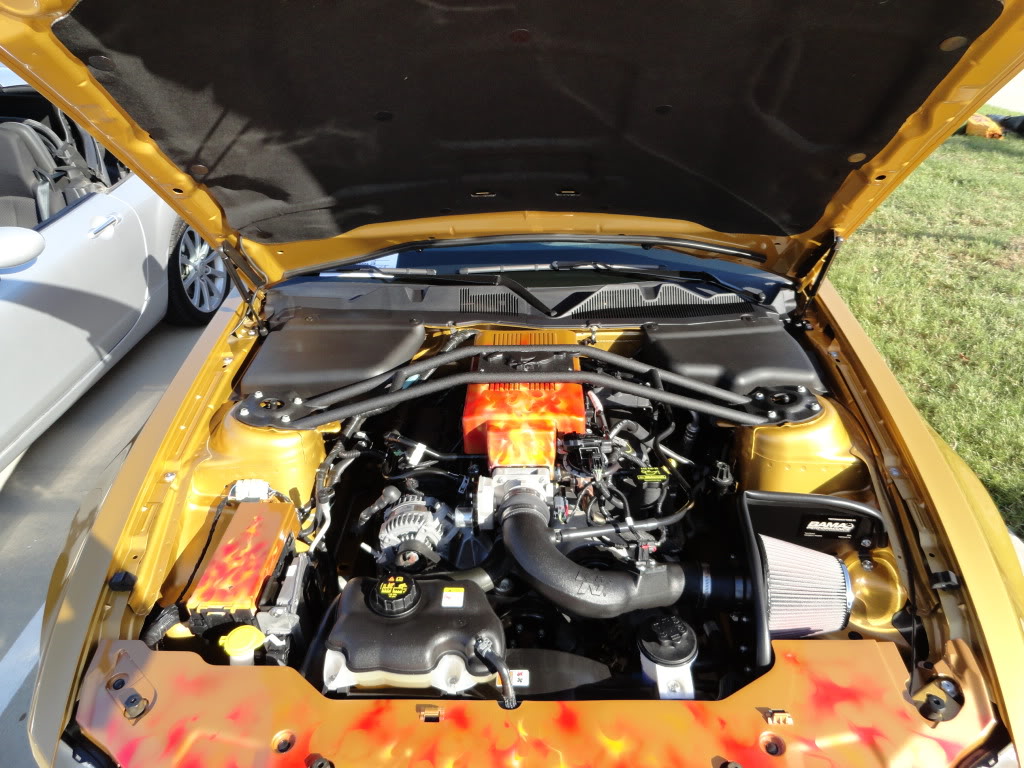 Name:  DSC00328.jpg
Views: 158
Size:  176.9 KB