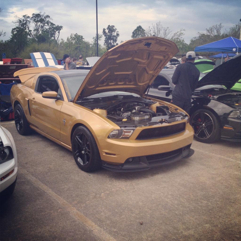 Name:  IMG_29731.jpg
Views: 162
Size:  137.8 KB