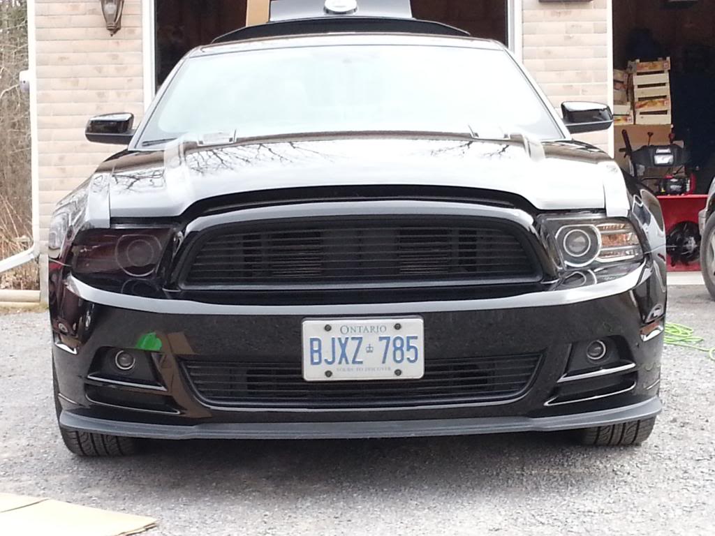 Name:  20130331_130323_zpsaae403c8.jpg
Views: 86
Size:  106.9 KB