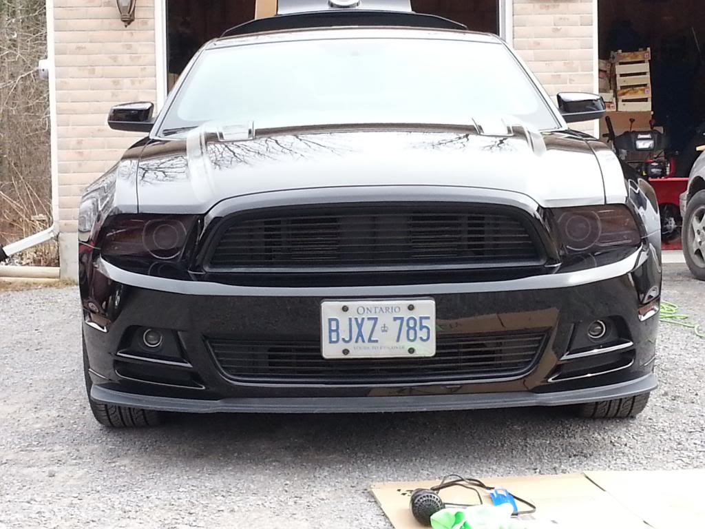 Name:  20130331_131827_zps859026c7.jpg
Views: 70
Size:  115.9 KB