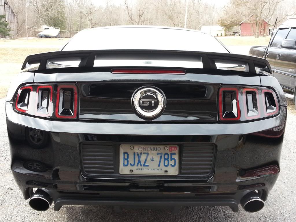 Name:  20130331_140237_zpsc2e569a4.jpg
Views: 66
Size:  119.0 KB