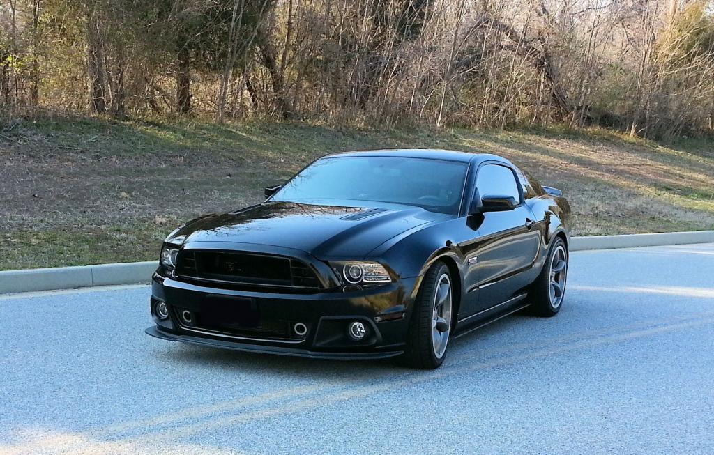 Name:  1newone.jpg
Views: 128
Size:  159.1 KB