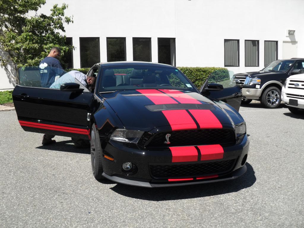 Name:  firstdaywiththeGT500001.jpg
Views: 71
Size:  130.7 KB