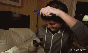 Name:  nGSmS_zpsc1bc657f.gif
Views: 21
Size:  768.3 KB