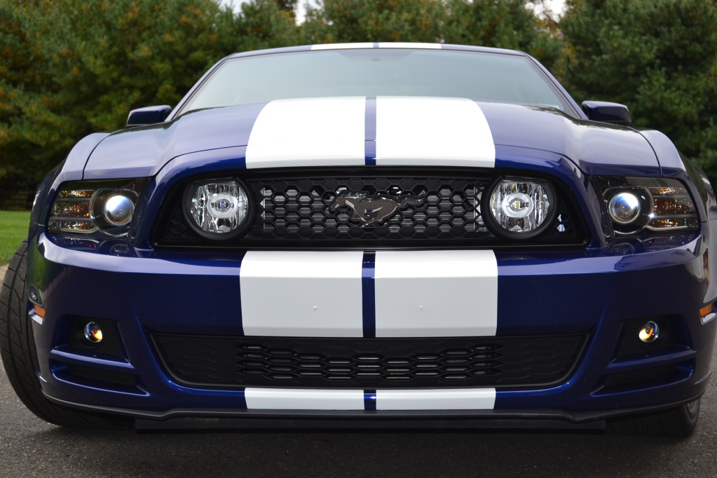 Name:  DSC_0040.jpg
Views: 97
Size:  169.3 KB