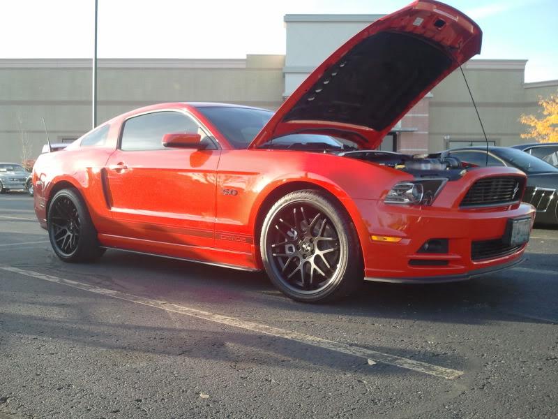 Name:  2012-10-20173645.jpg
Views: 56
Size:  109.2 KB