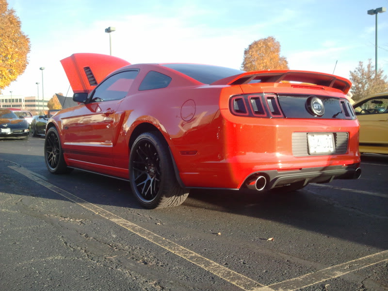 Name:  2012-10-20173603.jpg
Views: 25
Size:  114.2 KB