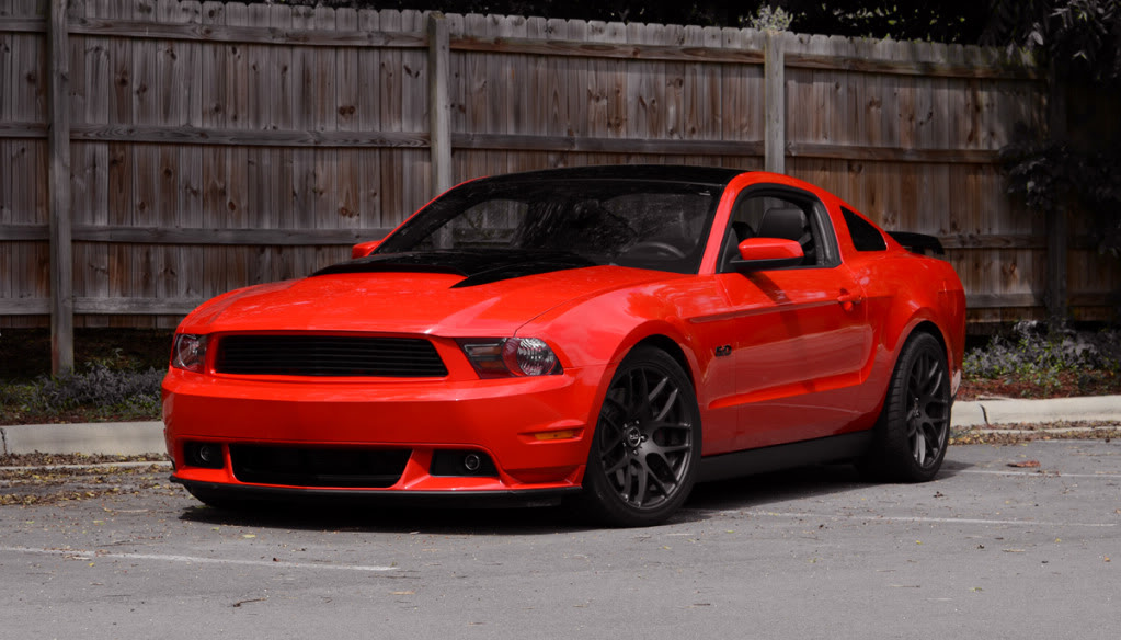 Name:  DSC_1897.jpg
Views: 97
Size:  136.2 KB