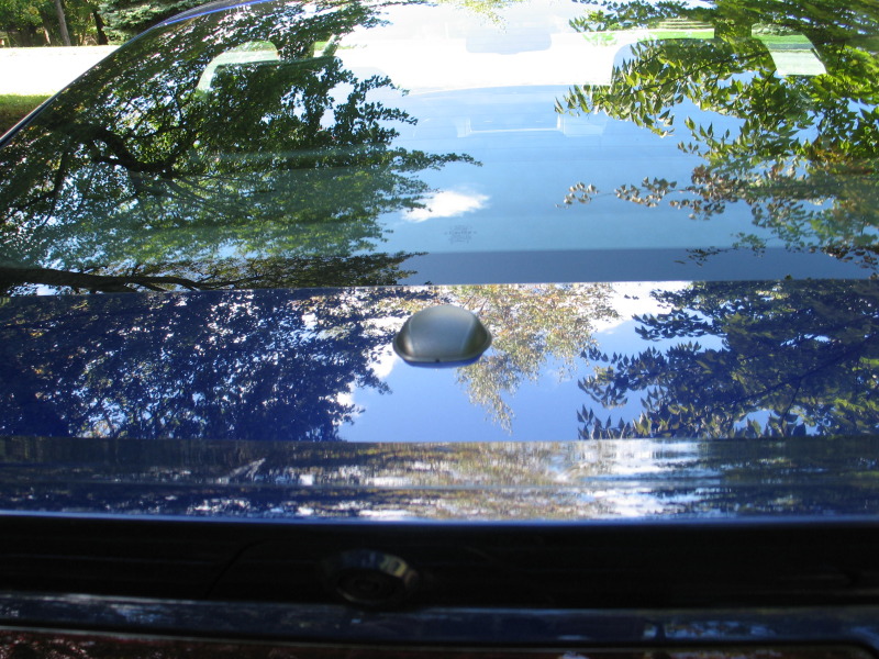 Name:  IMG_1669.jpg
Views: 2897
Size:  207.5 KB