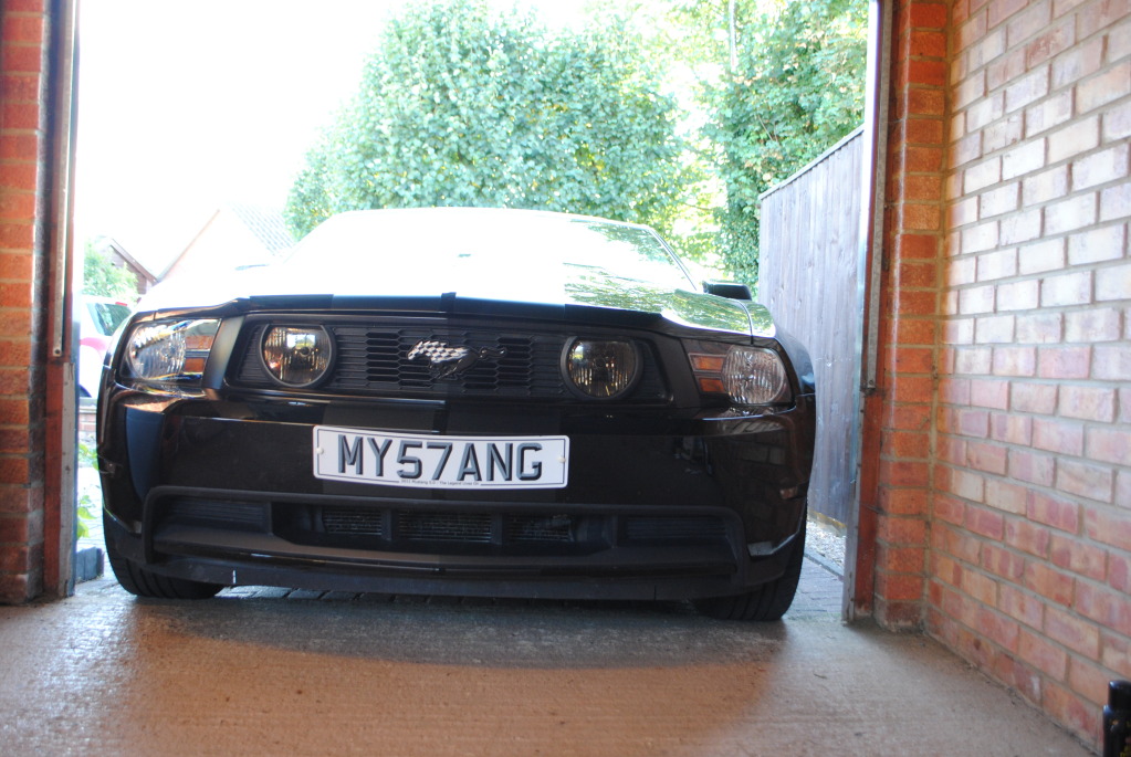 Name:  DSC_1091_zps00a02d77.jpg
Views: 83
Size:  219.3 KB