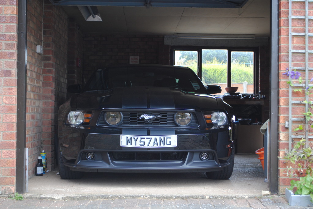 Name:  DSC_1109_zps48aae416.jpg
Views: 66
Size:  197.8 KB