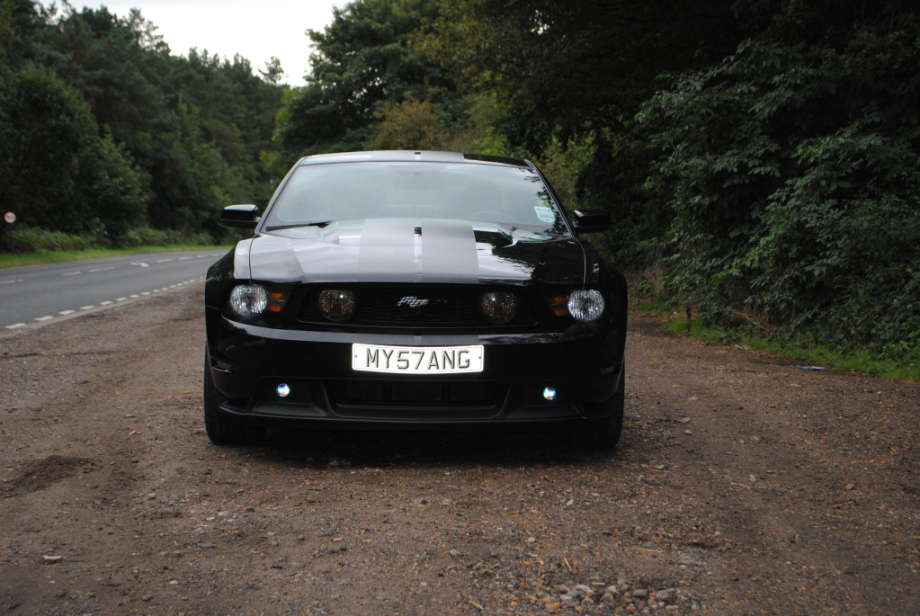 Name:  DSC_1103_zps206a7f76.jpg
Views: 34
Size:  229.4 KB